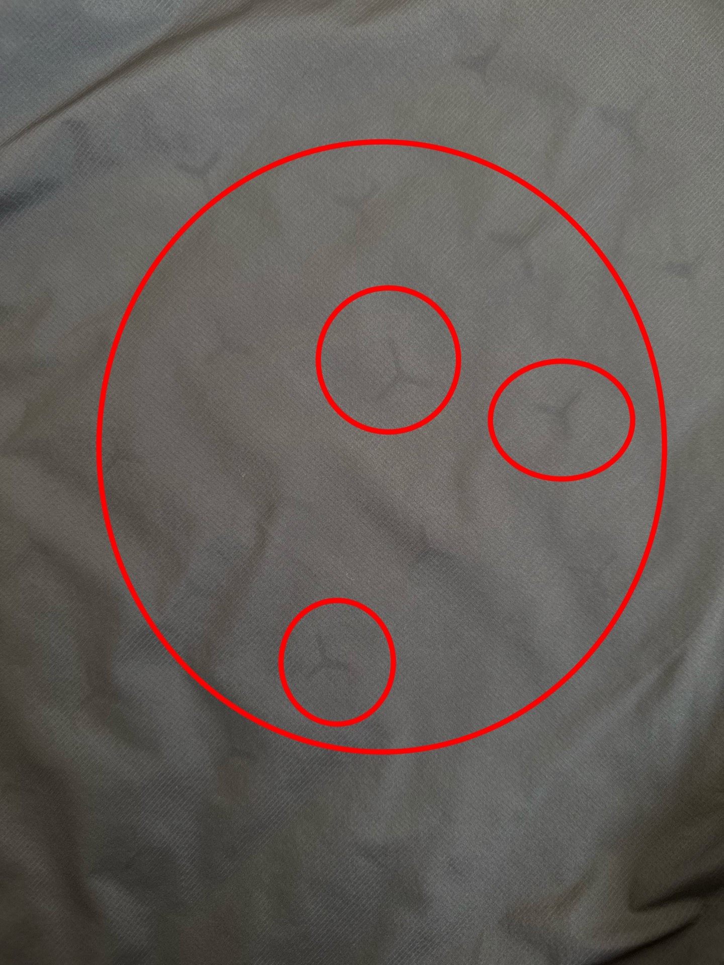 62b3045b84e270de90e971b8a7a10373_1763991100_9763.jpg 62b3045b84e270de90e971b8a7a10373_1763991100_9763.jpg