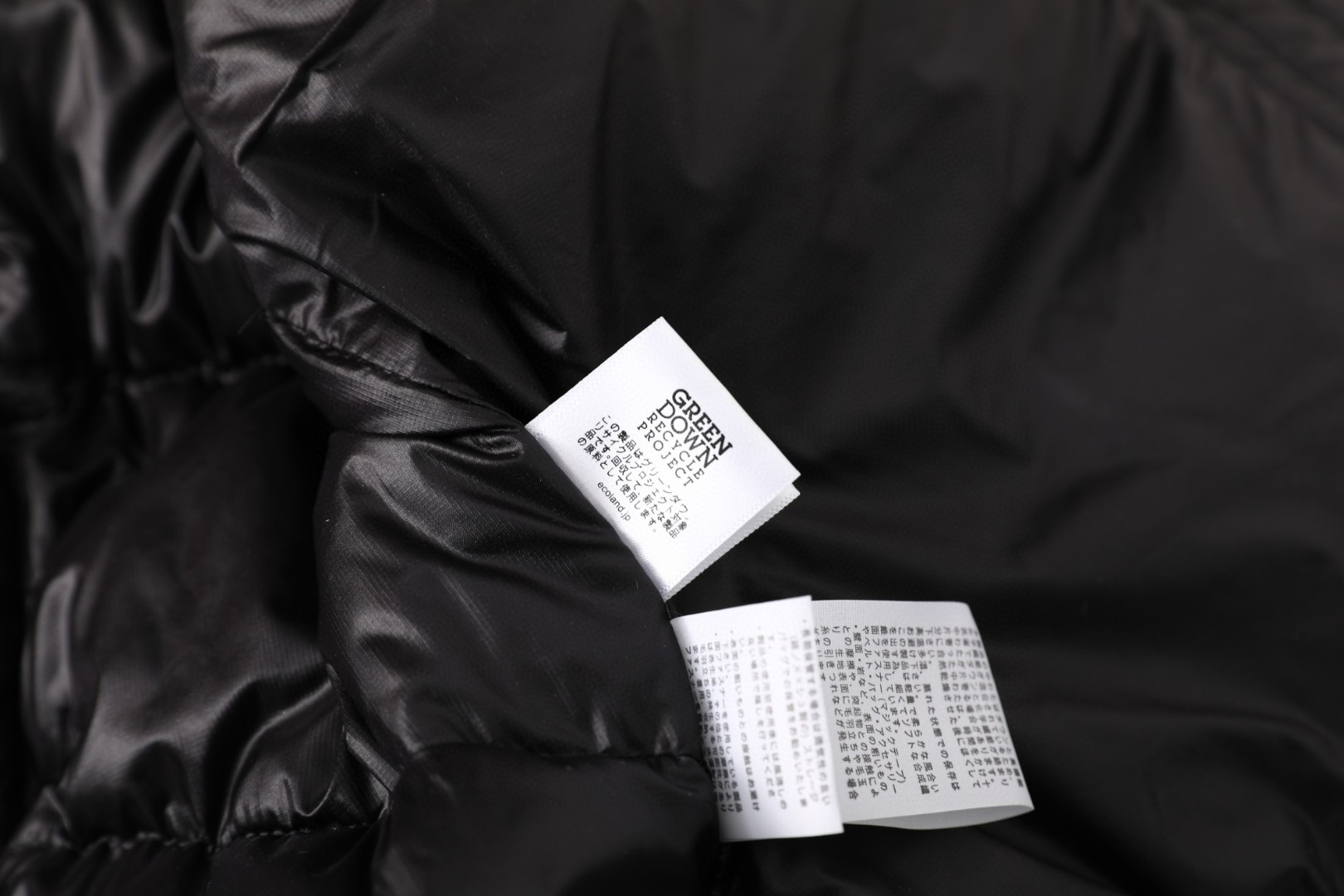 a5e90dd248b306f28e05a24b245a06f6_1763212575_883.jpg a5e90dd248b306f28e05a24b245a06f6_1763212575_883.jpg