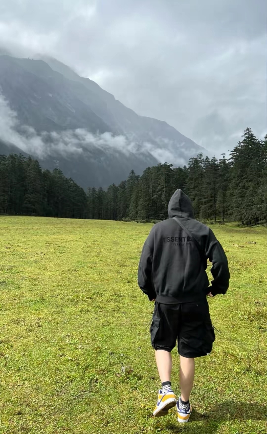 bbd2fce9513f5d2d7fa9a1e6765e8036_1764294282_5319.jpg bbd2fce9513f5d2d7fa9a1e6765e8036_1764294282_5319.jpg