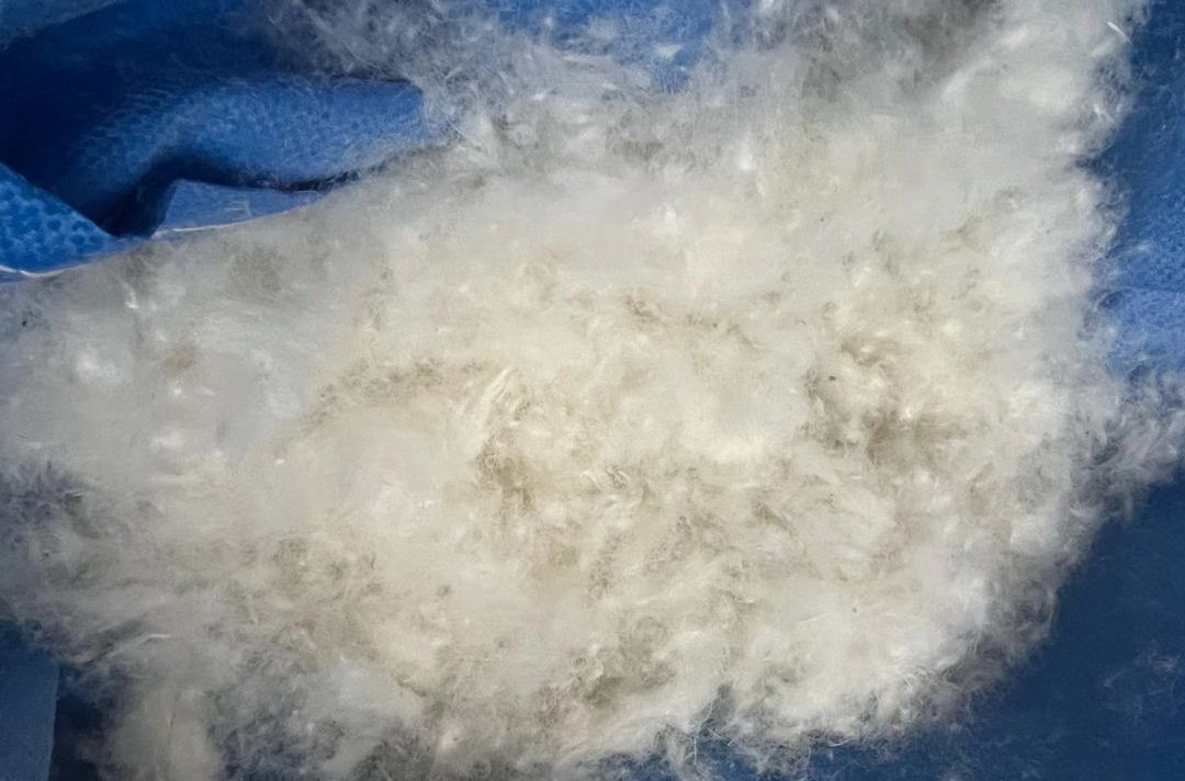 d003f7d3f959c0c6e277e9fe4b95f84f_1762952000_324.jpg d003f7d3f959c0c6e277e9fe4b95f84f_1762952000_324.jpg