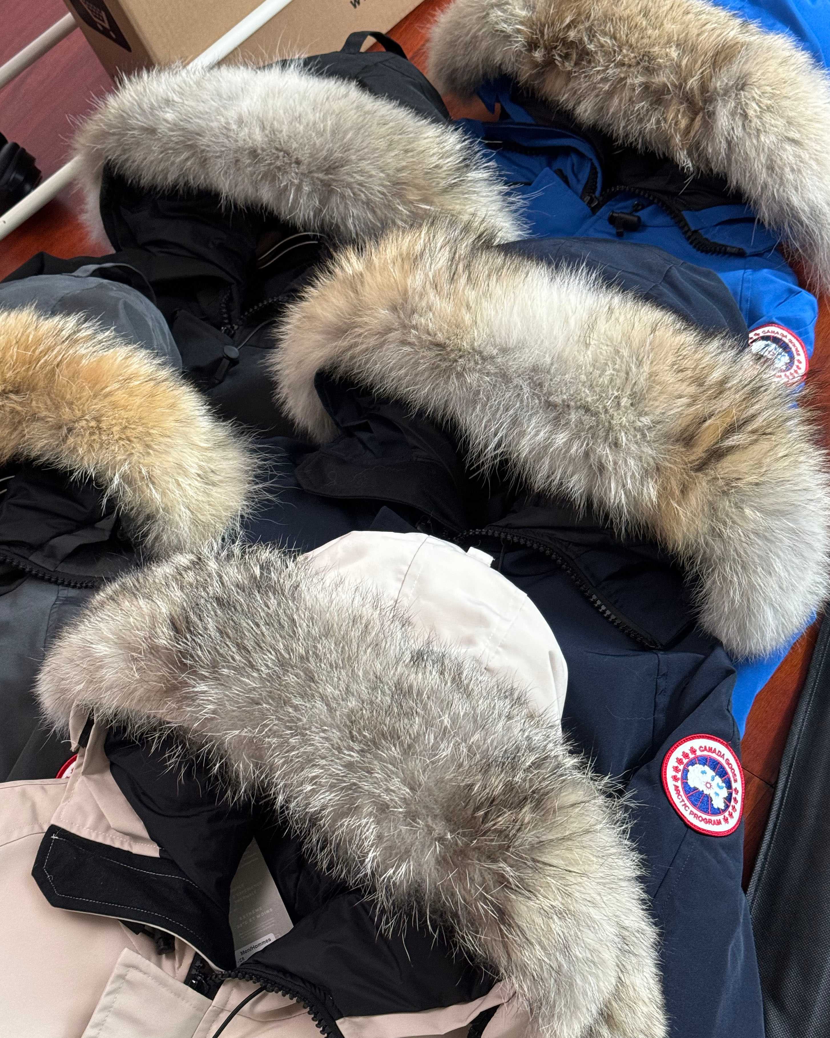 d14269324640ad6f0cd11272cca200fe_1764475134_9195.jpg d14269324640ad6f0cd11272cca200fe_1764475134_9195.jpg