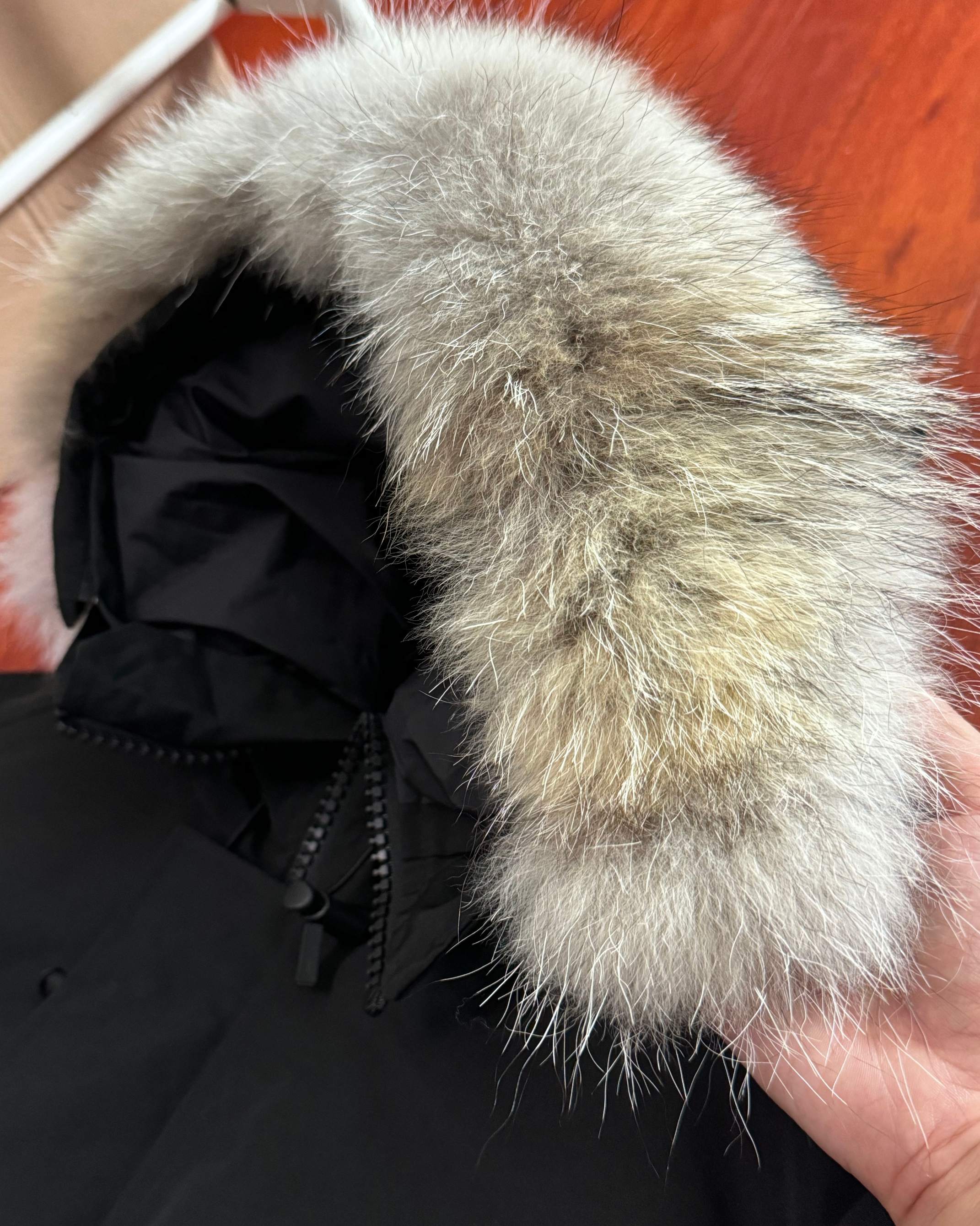 d14269324640ad6f0cd11272cca200fe_1764475168_3956.jpg d14269324640ad6f0cd11272cca200fe_1764475168_3956.jpg