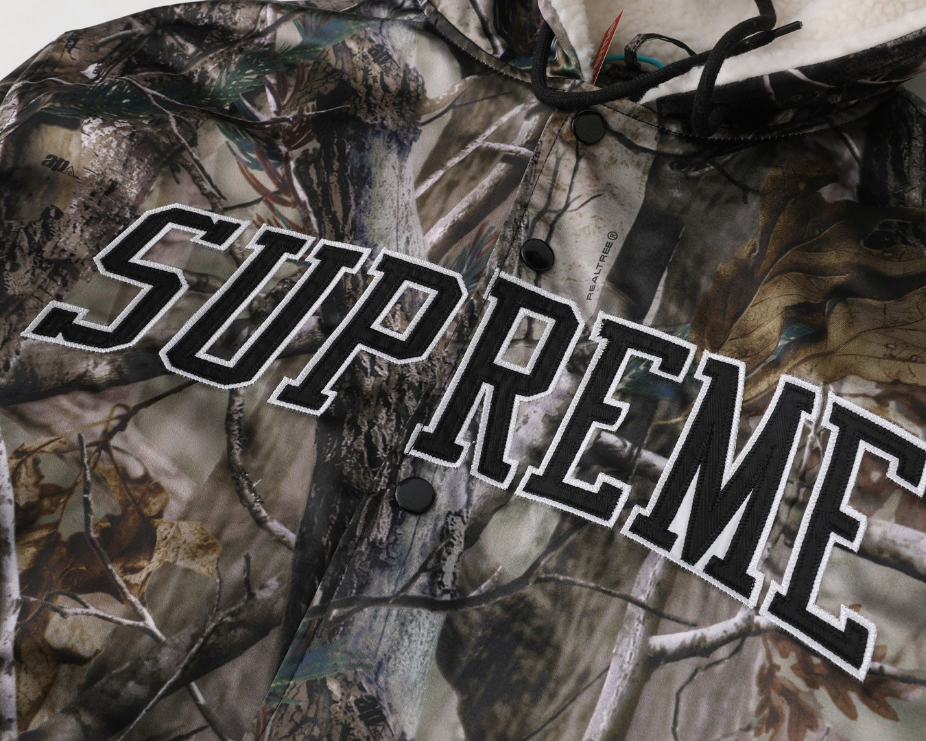 1ee46166788ed6ee9ebad74b26d67276_1766950648_6539.jpg 1ee46166788ed6ee9ebad74b26d67276_1766950648_6539.jpg