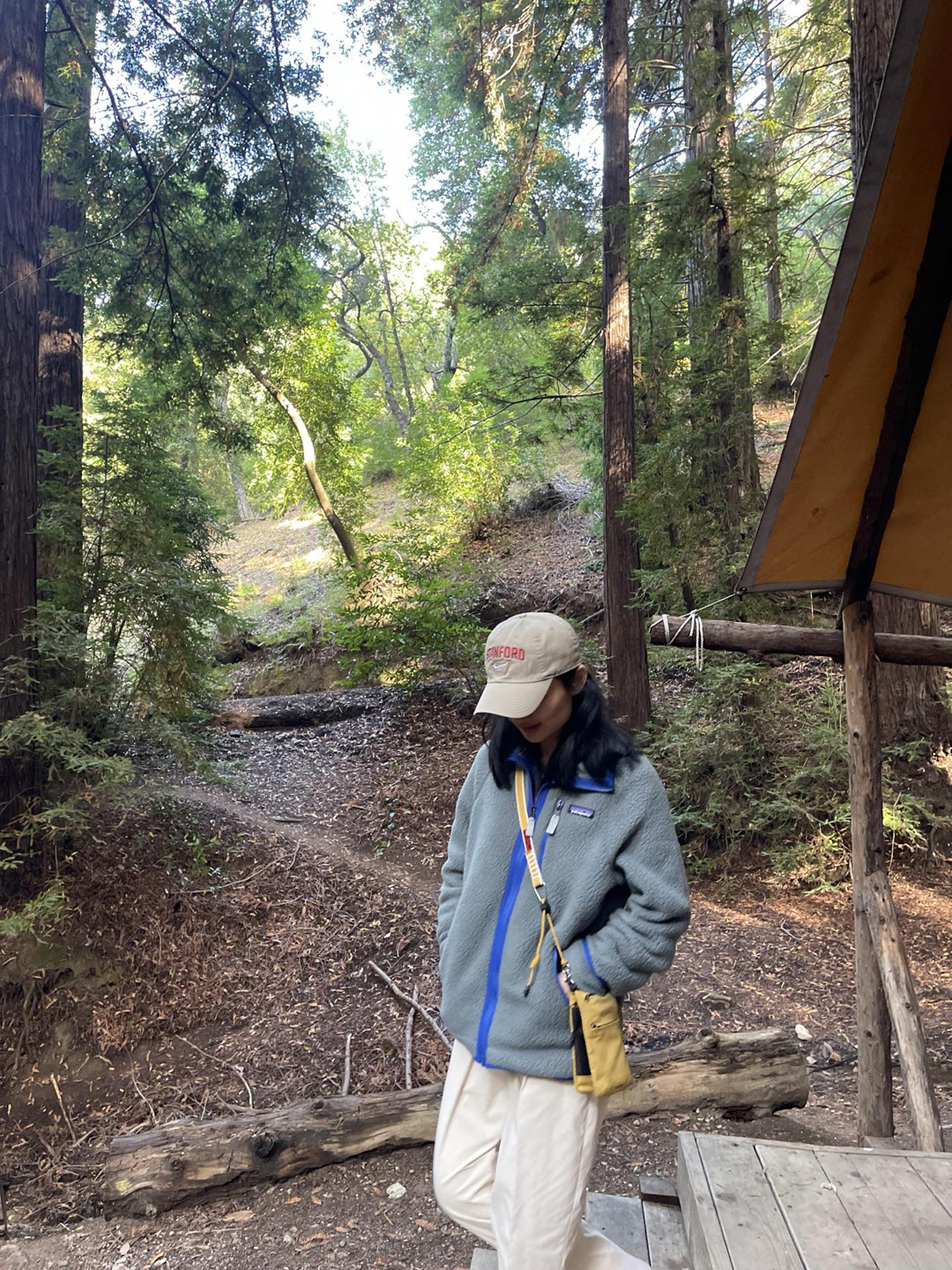 75b2b266003be92fc5f0b2c0c8ebfd41_1765192018_0195.jpg 75b2b266003be92fc5f0b2c0c8ebfd41_1765192018_0195.jpg