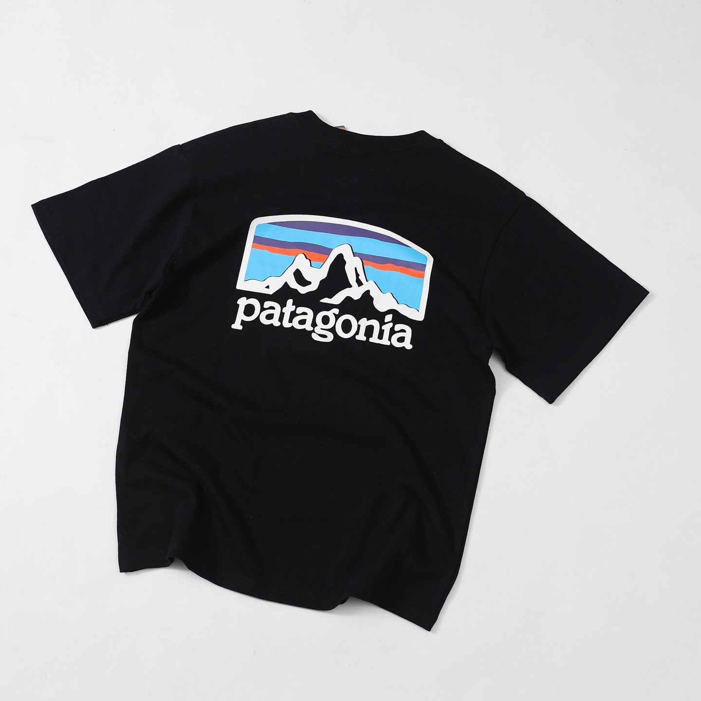 [Patagonia] 파타고니아 피츠로이 호아이즌스 리스폰시빌리 티셔츠