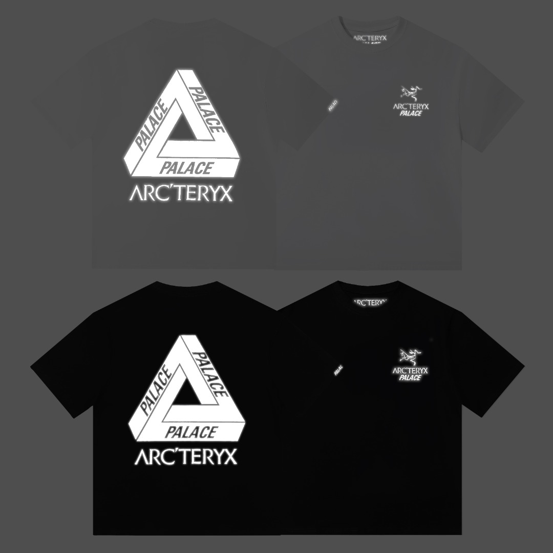 [Arcteryx] 아크테릭스 x 팔라스 티셔츠