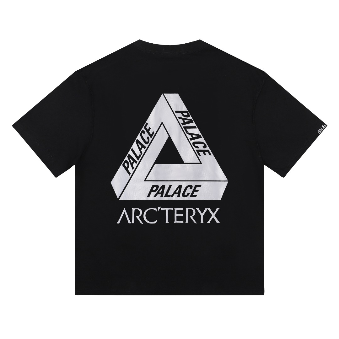 [Arcteryx] 아크테릭스 x 팔라스 티셔츠