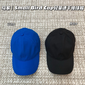 [Arcteryx] 아크테릭스 스몰 버드 햇