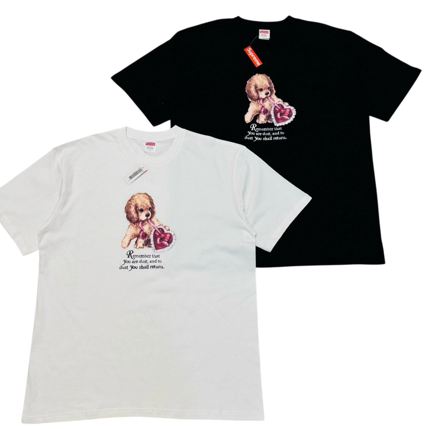 [Supreme] 슈프림 더스트 티셔츠