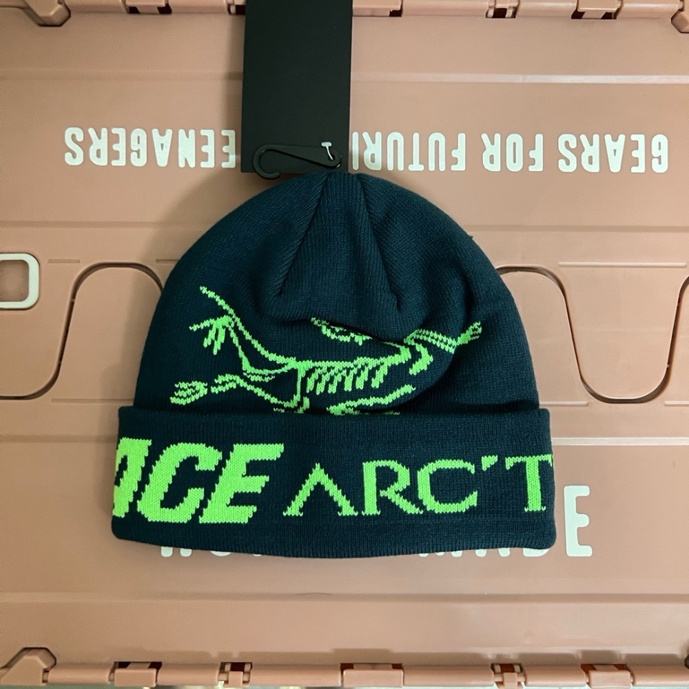 [Arc'teryx X Palace] 아크테릭스 X 팔라스 비니